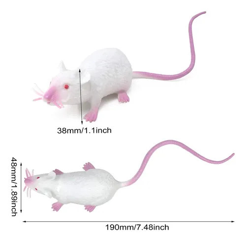 Raton estirable cj x12 