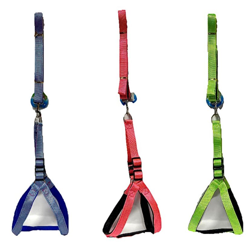 Collar mascota pechera neon grande