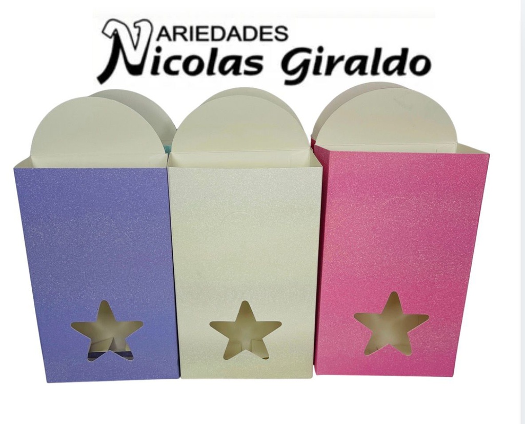 Caja regalo mediana tipo bolsa paquete x6