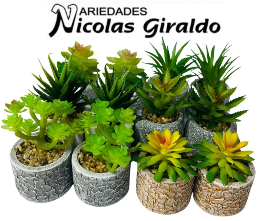 Matera mini soculentas CJX12