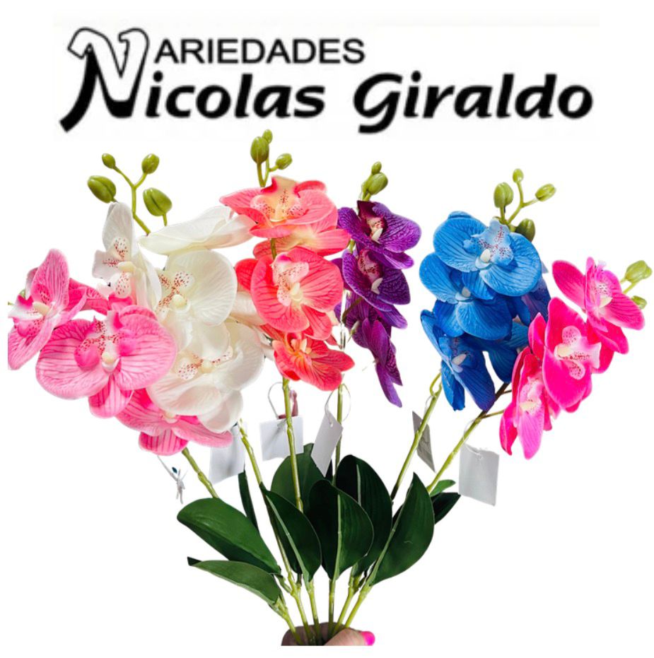Flor ramo orquidea x5