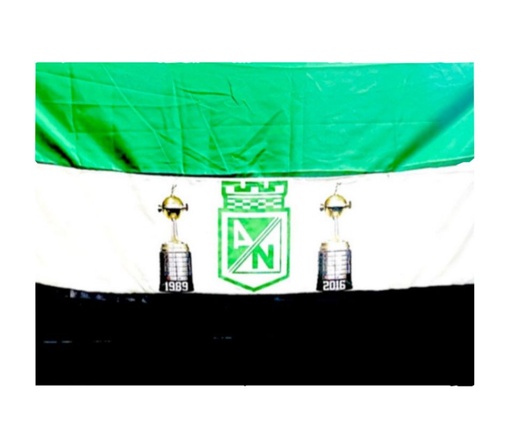 [BE-559-1] Bandera nacional gde con escudo 100x150