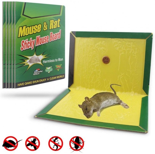 [CNG-014] Pega rata grande carton verde 