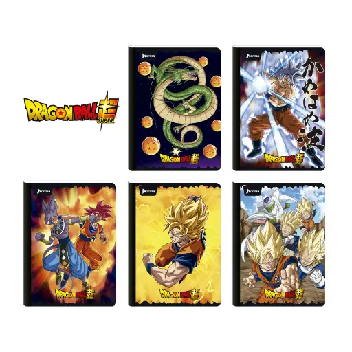 [551131] Cuad norma gama media dragonball 100H raya